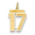 thumbnail image 1 of 14K Yellow Gold Medium Satin Number 17 Charm Made In United States lsm17, 1 of 3