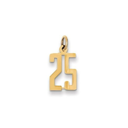 14K Yellow Gold Polished Finish Small Size Elongated Shape Number 25 Charm Pendant