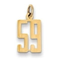 thumbnail image 1 of 14K Yellow Gold Polished Finish Small Size Elongated Shape Number 59 Charm Pendant, 1 of 3