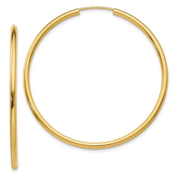 14K Yellow Gold Polished Round Endless 2 mm Hoop Earrings