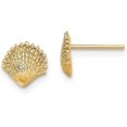 thumbnail image 1 of 14K Yellow Gold Scallop Shell Post Earrings - 7.8mm, 1 of 6