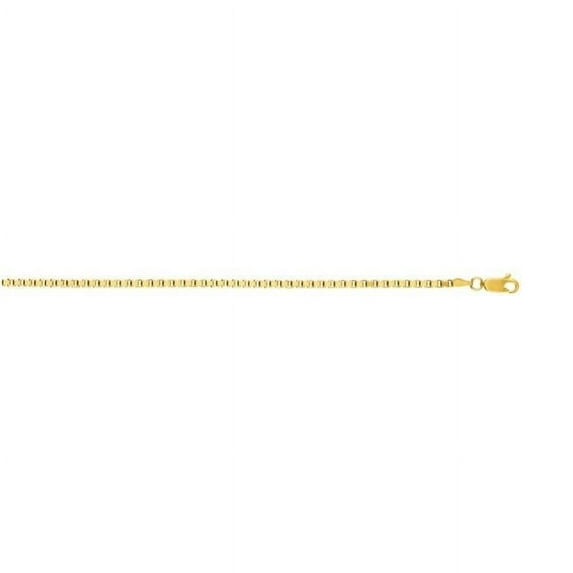 14K Yellow Gold Semi Solid Box Chain with Lobster Clasp