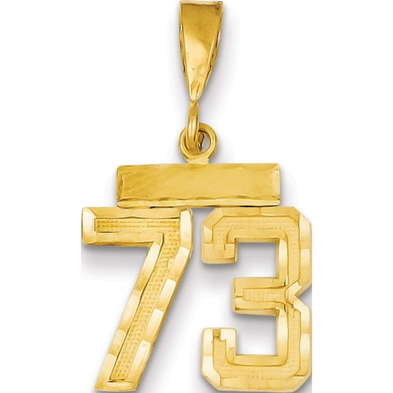 14K Yellow Gold Small Brushed Diamond-Cut Number 73 Charm Made In United States sn73