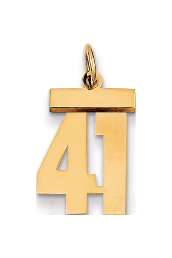 14K Yellow Gold Small Polished Number 41 Charm