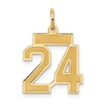 thumbnail image 1 of 14K Yellow Gold Small Satin Number 24 Charm, 1 of 1