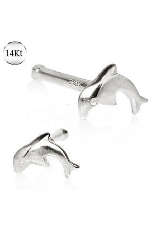 14Kt White Gold Stud Nose Ring with a Dolphin