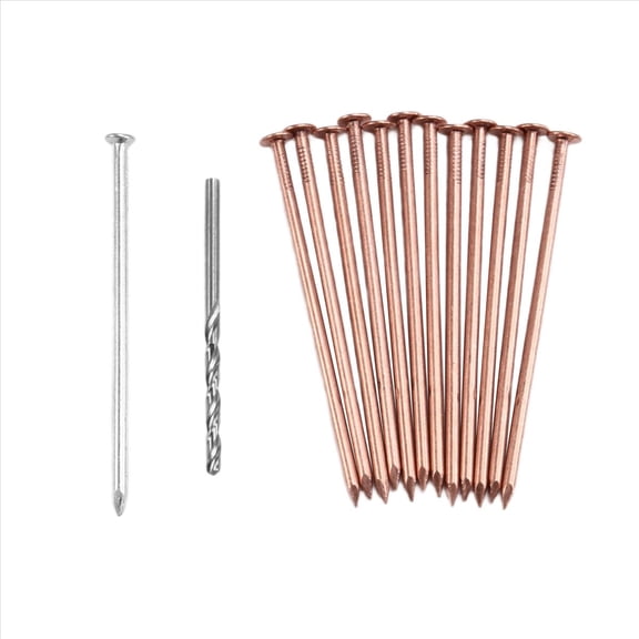 14Pcs Copper Nails Kit to Killing Trees,3.5 Inch Pure Copper Nails Bulk,Stump Removal Spikes Hardware Nails for Trees,12 x copper nails(9cm),1 x stainless steel nails,1 x drill bit,Copper & Silver
