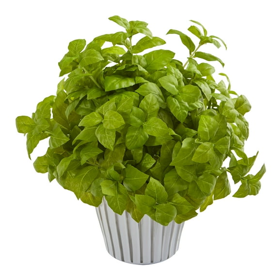 14in. Basil Artificial Plant in White Planter with Silver Trimming