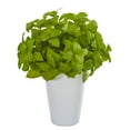 thumbnail image 1 of 14in. Basil Artificial Plant in White Planter, 1 of 2