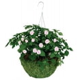 thumbnail image 1 of 14in. Sphagnum Moss Hanging Basket, 1 of 1