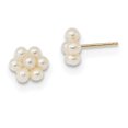 thumbnail image 1 of 14k 2-3mm White Button Freshwater Cultured Pearl Flower Earrings 14k Yellow Gold Earrings, 1 of 1