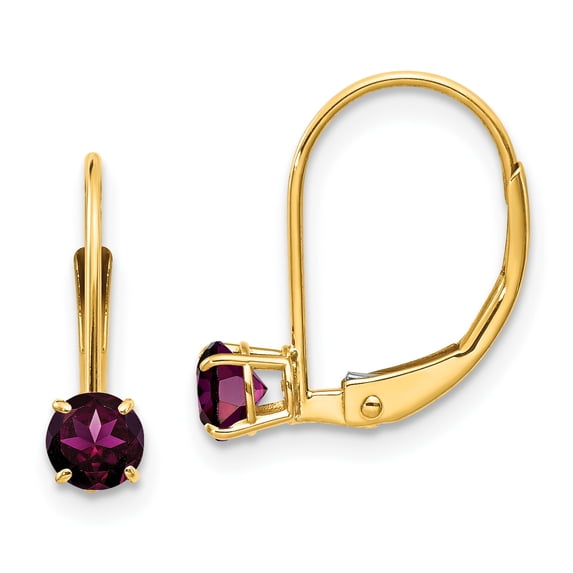 14k 4mm Round June/Rhodolite Leverback Earrings 14k Yellow Gold Earrings
