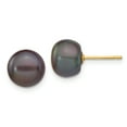 thumbnail image 1 of 14k 8-9mm Black Button Freshwater Cultured Pearl Stud Post Earrings 14k Yellow Gold Earrings, 1 of 1