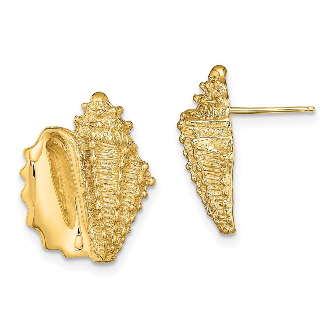 ALRNBY Statement Seashell Earrings - Big Conch Shell Studs In Gold & Silver, Lightweight
