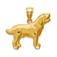 thumbnail image 1 of 14k Solid Yellow Gold Labrador Retriever Pendant Necklace Pendant for Women - 1.5 Grams, 1 of 2