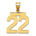 thumbnail image 1 of 14k Solid Yellow Gold Medium Polished Sport game Number 22 Charm Pendant Necklace for Women, 1 of 2
