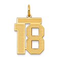 thumbnail image 1 of 14k Solid Yellow Gold Medium Satin Sport game Number 18 Charm Pendant Necklace for Women - .8 Grams, 1 of 2