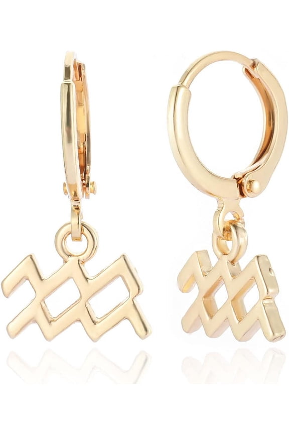 14k Gold Plated Zodiac Sign Drop Hoop Earrings for Women Birthday Gift[v9788]