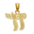 thumbnail image 1 of 14k Solid Yellow Gold Polished Chai Pendant Necklace 23x17mm Wide Pendant for Women - 1.0 Grams, 1 of 2