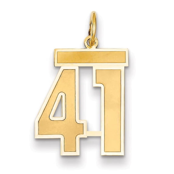 14k Yellow Gold Satin Brush Finish Medium Size Number 41 Charm Pendant