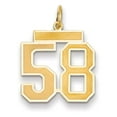 thumbnail image 1 of 14k Yellow Gold Satin Brush Finish Medium Size Number 58 Charm Pendant, 1 of 3