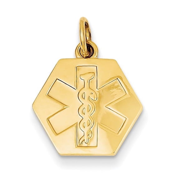 14k Non-enameled Medical Jewelry Pendant
