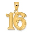 thumbnail image 1 of 14k Yellow Gold Polished Etched Finish Number 16 Charm Pendant, 1 of 5