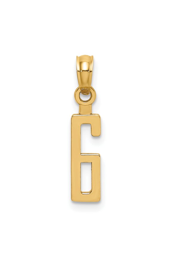14K Yellow Gold Polished Finished Block Script Design Number 6 Charm Pendant