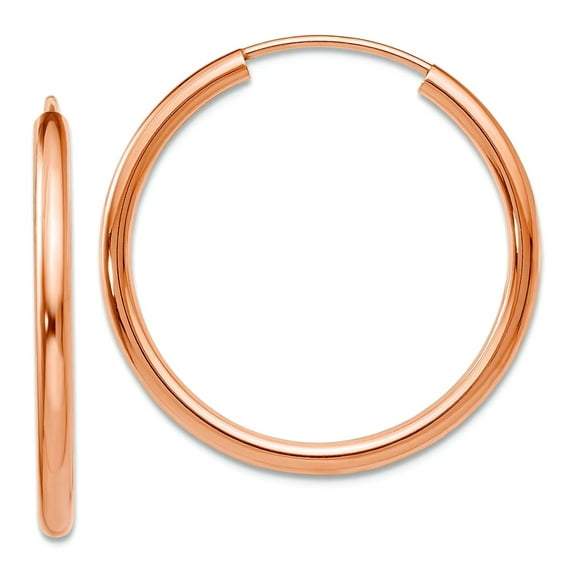 14k Rose Gold Polished Round Endless 2mm Hoop Earrings 24.9x25mm Wide 2mm Thick Hoop Earring for Women