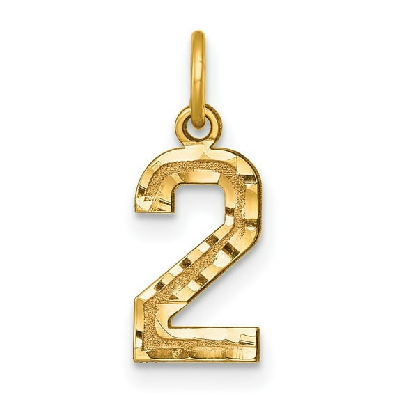 14k Yellow Gold Solid Satin Small Sparkle Cut Sport game Number 2 Charm Pendant Necklace Measures 20.3x7.6mm - Bead Char