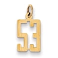 thumbnail image 1 of 14k Yellow Gold Small Elongated Number 53 Charm Pendant, 1 of 1