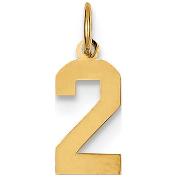 14k Small Polished Number 2 Charm
