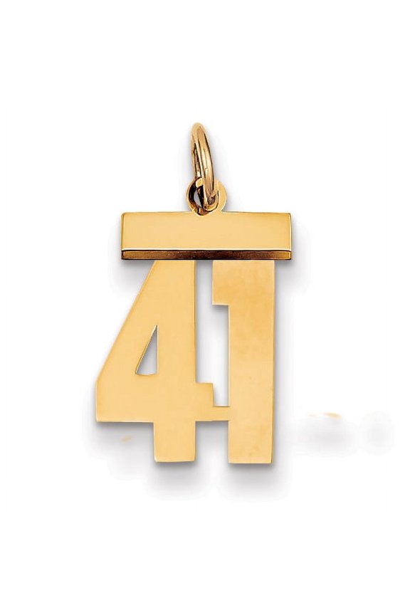 14k Yellow Gold Small Polished Number 41 Charm Pendant