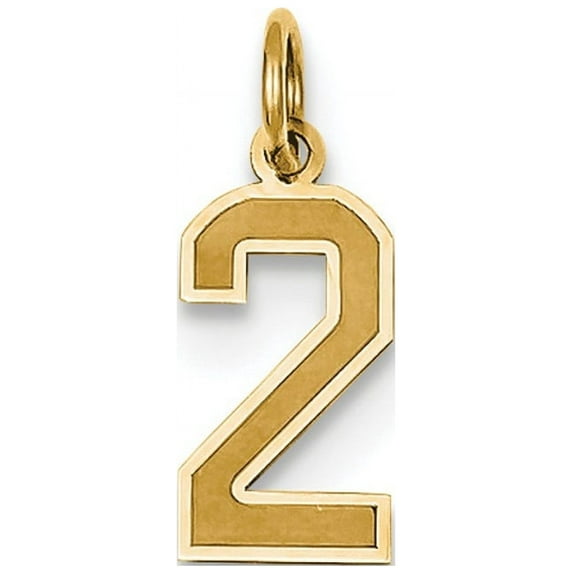 14k Small Satin Number 2 Charm