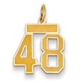 thumbnail image 1 of 14k Yellow Gold Satin Brush Finish Small Size Number 48 Charm Pendant, 1 of 6