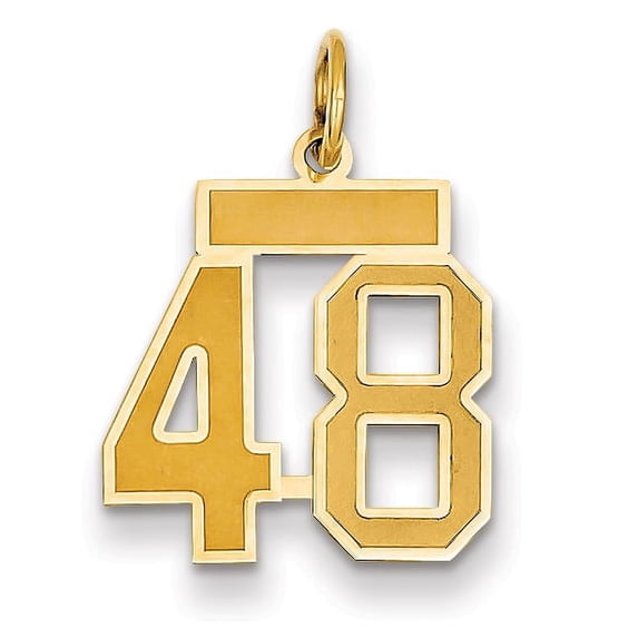 14k Yellow Gold Satin Brush Finish Small Size Number 48 Charm Pendant