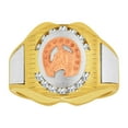 thumbnail image 1 of 14k Tricolor Gold, Lucky Horse Shoe Fancy Gent Ring Created CZ Crystals Size 9.5, 1 of 3