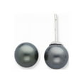 thumbnail image 1 of 14k White Gold 10-11mm Saltwater Cultured Tahitian Pearl Earrings, 1 of 1