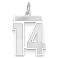 thumbnail image 1 of 14k White Gold Medium Satin Number 14 Charm, 1 of 2