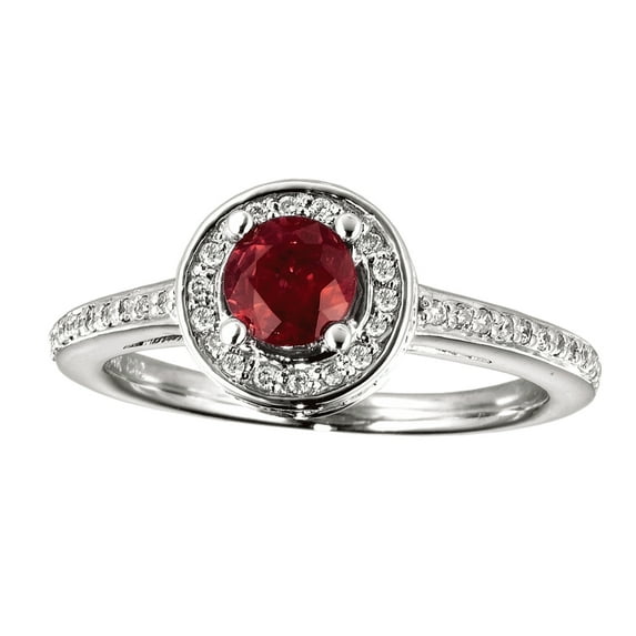 14k White Gold Ruby and Diamond Double Circle Ring