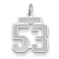 thumbnail image 1 of 14k White Gold Satin Brush Finish Small Size Number 53 Charm Pendant, 1 of 2