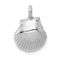 thumbnail image 1 of 14k White Gold Seashell Pendant, 1 of 4