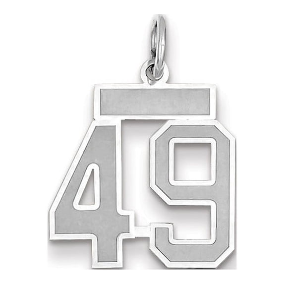 14k White Gold Small Satin Number 49 Charm