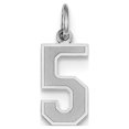 thumbnail image 1 of 14k White Gold Small Satin Number 5 Charm, 1 of 3