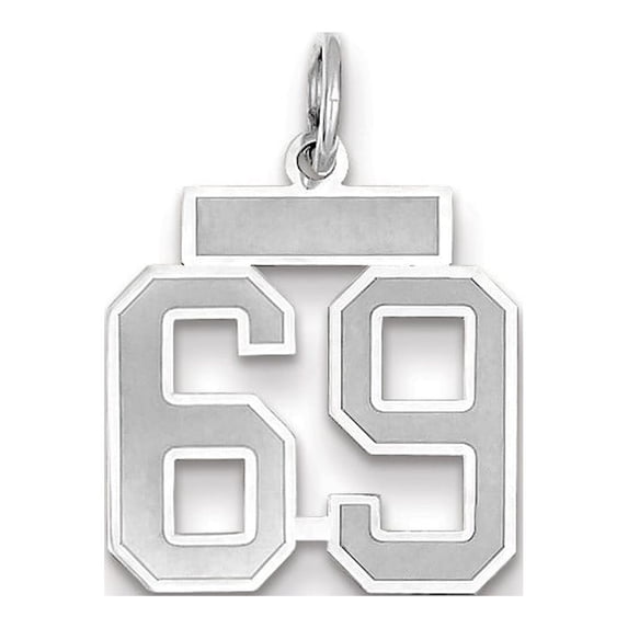 14k White Gold Small Satin Number 69 Charm