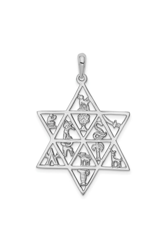 14k White Gold Star of David Pendant with Twelve Tribes Symbols, Jewish Religious Necklace for Men and Women, Spiritual Hebrew Magen David Tribal Emblem Jewelry