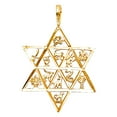 thumbnail image 1 of 14k Yellow Gold 12 Animal Star Pendant Necklace 21x24mm Pendant for Women - 1.2 Grams, 1 of 2