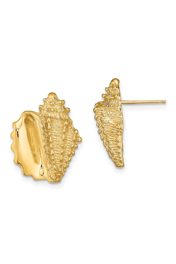 14k Yellow Gold 2-D Conch Shell Post Earrings