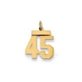 thumbnail image 1 of 14k Yellow Gold Polished Finish Small Size Number 45 Charm Pendant, 1 of 4