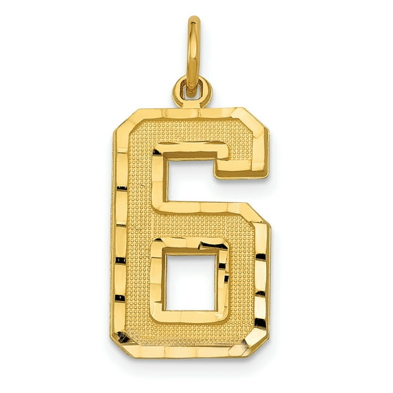 14k Yellow Gold Casted Large Diamond Cut Number 6 Charm Pendant